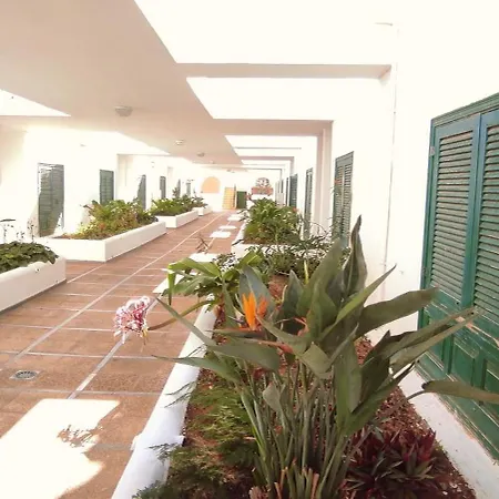 Pool Terrace 아파트 엘메다노